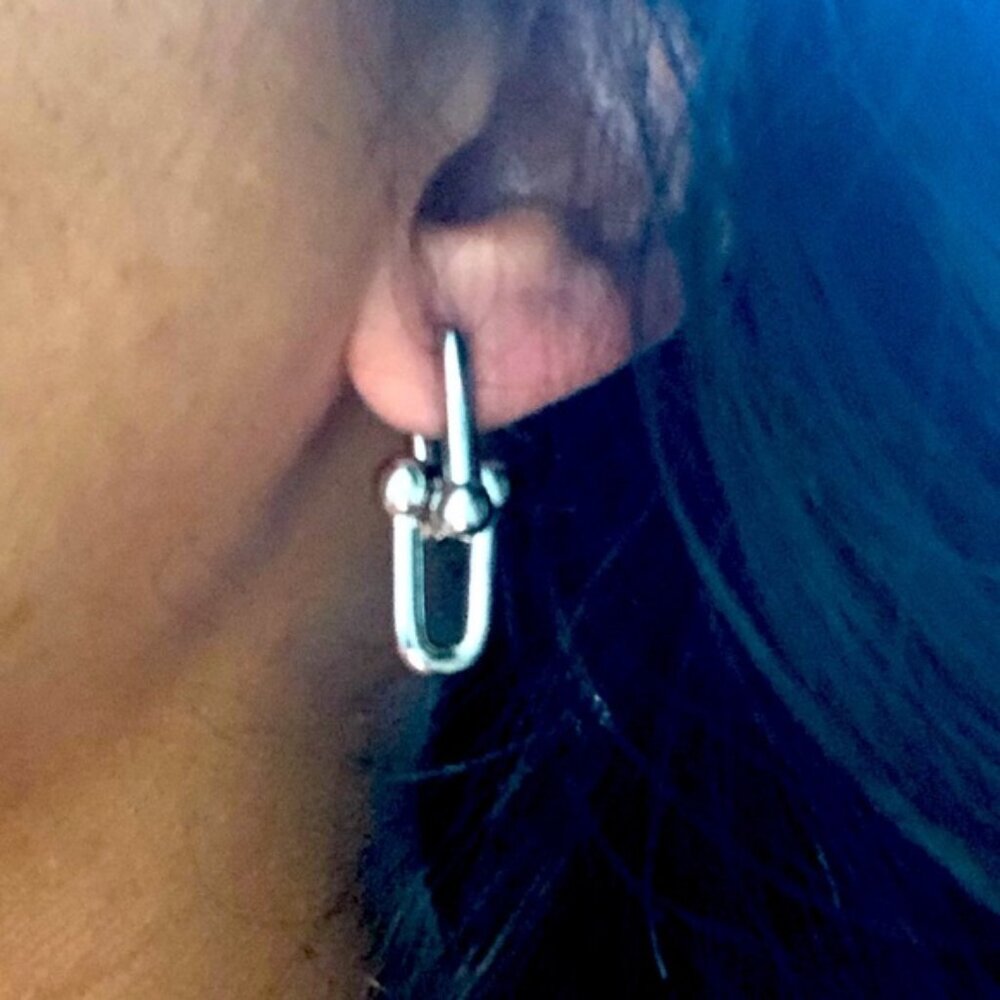 Hardware Link U Earrings
